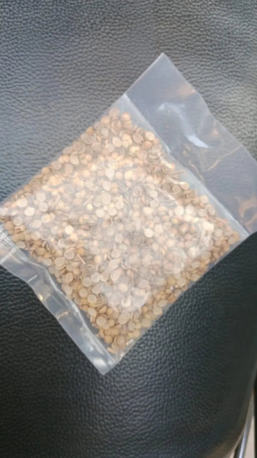 Organic Coriander seeds for Gardening (Pack of 20) es7me6-ax