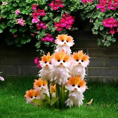 Cat Eye Dazzle Seeds and Free Organic Pot Mix 100 Grams es7me6-ax