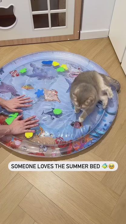 Pet Water Sensory Play Mat